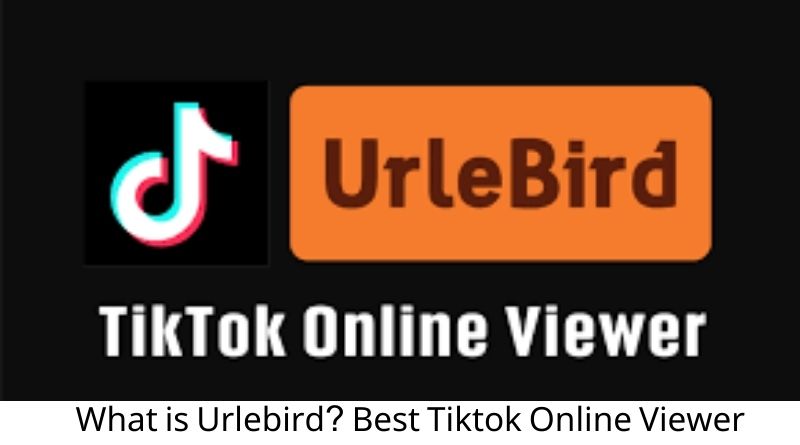 What is Urlebird? Best Tiktok Online Viewer Andriod App