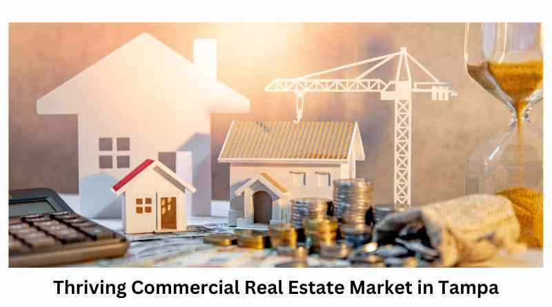 Exploring the Thriving Commercial Real Estate Market in Tampa
